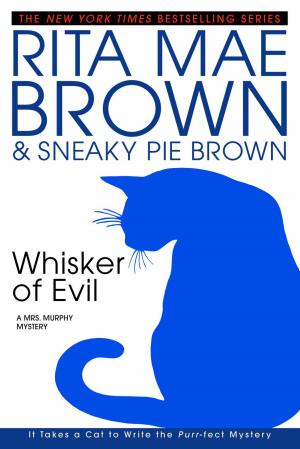 Cover of the book Whisker of Evil by Sandi Scott