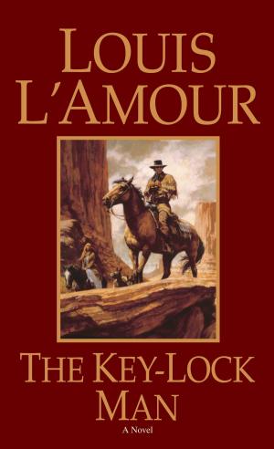 Cover of the book The Key-Lock Man by George Seldes