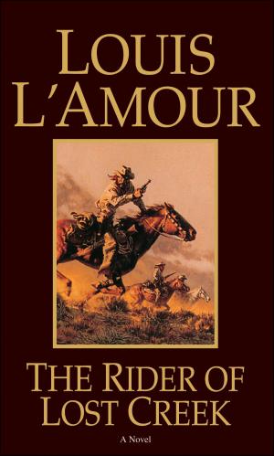 Cover of the book The Rider of Lost Creek by Francisco Angulo de Lafuente