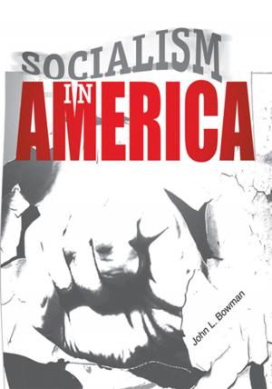 Cover of the book Socialism in America by B.A. Seloaf
