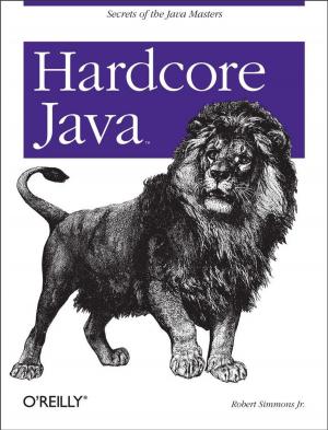 Cover of the book Hardcore Java by Vandad Nahavandipoor