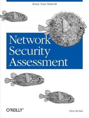Book cover of Network Security Assessment