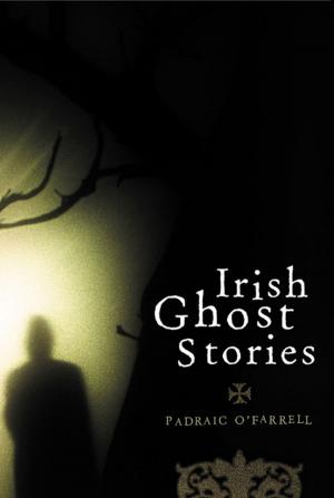bigCover of the book Irish Ghost Stories by 