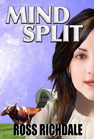 Cover of the book Mind Split by Joe Freitus