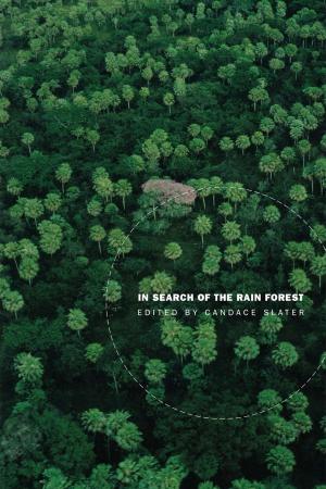 Cover of the book In Search of the Rain Forest by Jacques Rancière