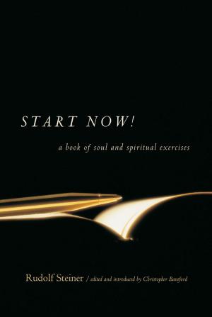 Cover of the book Start Now! by Rudolf Steiner; Craig Giddens