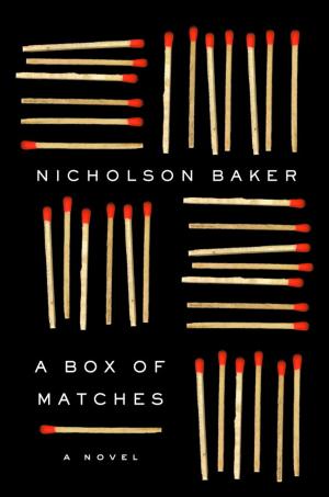Cover of the book A Box of Matches by Joan Frank