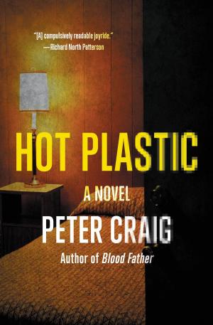 Cover of the book Hot Plastic by Bob Miglani