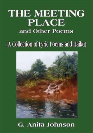 Cover of the book The Meeting Place and Other Poems by Harlynn LaVance Hammonds