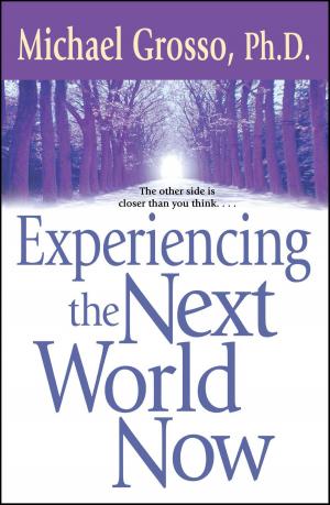 Cover of the book Experiencing the Next World Now by Cathy Kelly