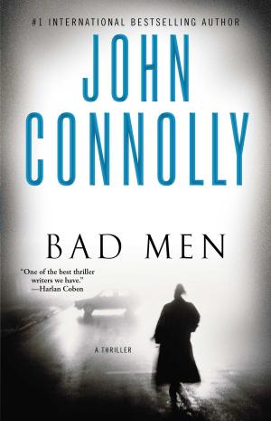 Cover of the book Bad Men by Quinton Skinner