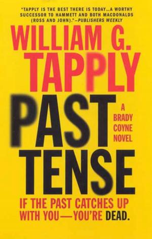 Cover of the book Past Tense by Tim Dahlberg, Mary Ederle Ward, Brenda Greene