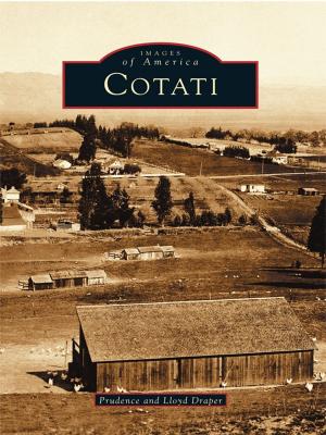 Cover of the book Cotati by Mindie Burgoyne
