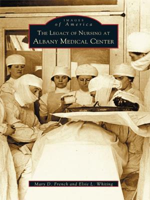 Cover of the book The Legacy of Nursing at Albany Medical Center by Arthur Carlson, Elizabeth Brooke Tolar, John Allen Tucker