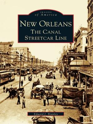 Cover of the book New Orleans by Andrew Mark Herman