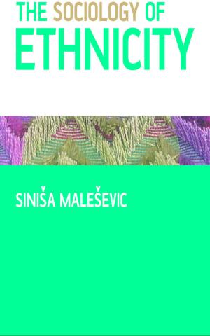 Cover of the book The Sociology of Ethnicity by 
