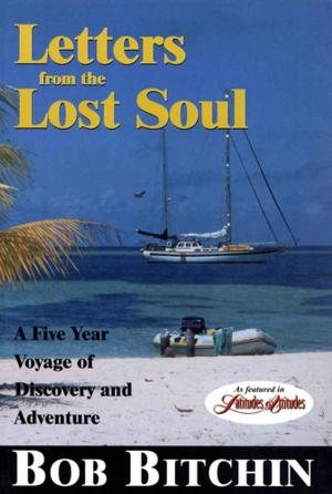 Cover of the book Letters from the Lost Soul by Les Weatheritt