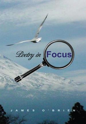 Cover of the book Poetry in Focus by K. Aleria Triche