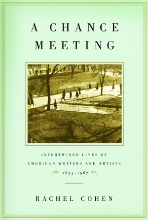 Cover of the book A Chance Meeting by Robin White