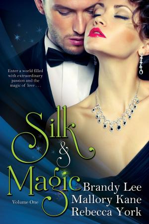 Book cover of Silk and Magic
