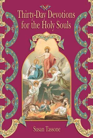 Cover of the book Thirty-Day Devotions for the Holy Souls by Fr. Brian McMaster