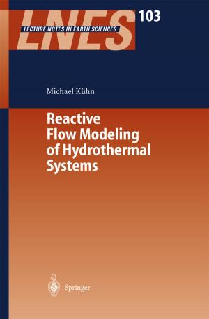 Cover of the book Reactive Flow Modeling of Hydrothermal Systems by Rudolf Grünig, Richard Kühn