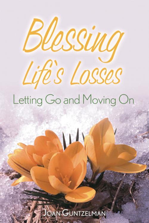 Cover of the book Blessing Life's Losses by Joan Guntzelman, Liguori Publications