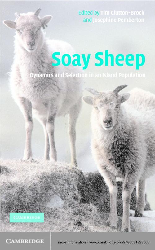Cover of the book Soay Sheep by , Cambridge University Press