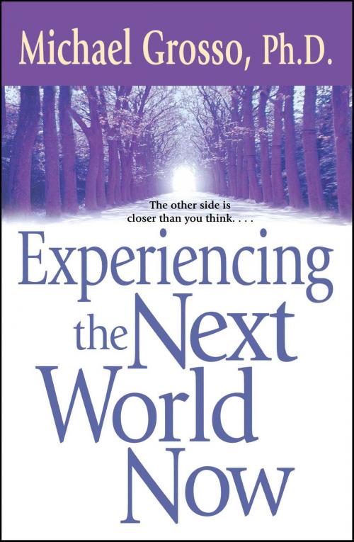 Cover of the book Experiencing the Next World Now by Michael Grosso, Ph.D., Pocket Books
