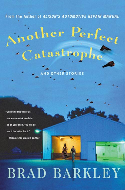 Cover of the book Another Perfect Catastrophe by Brad Barkley, St. Martin's Press