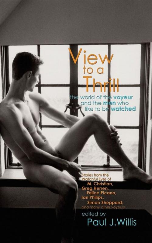 Cover of the book View to a Thrill by Paul J. Willis, STARbooks Press