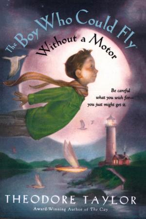 Cover of the book The Boy Who Could Fly Without a Motor by Katherine Paterson