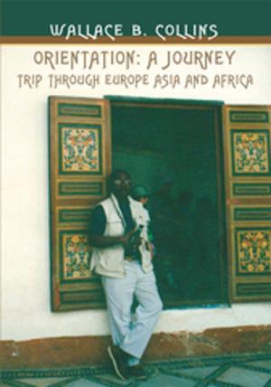 Cover of the book Orientation: a Journey by Gaetano Tuoro