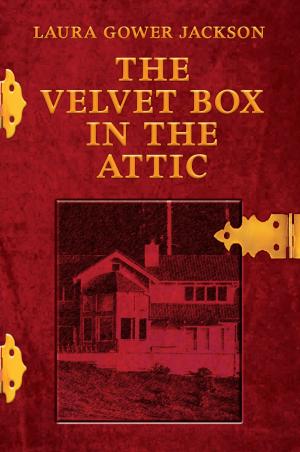 Cover of the book The Velvet Box in the Attic by Leo Plouffe, Jr.