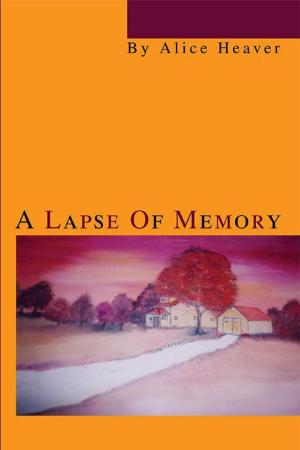 Cover of the book A Lapse of Memory by Karen Sander