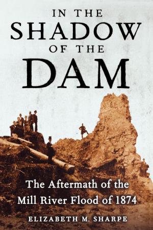 Cover of the book In the Shadow of the Dam by Robert Stinnett