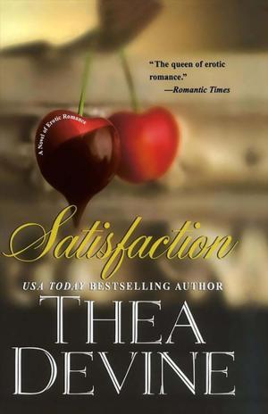 Cover of the book Satisfaction by Sylvia Lett