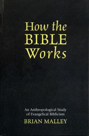 Cover of the book How the Bible Works by Mari Womack