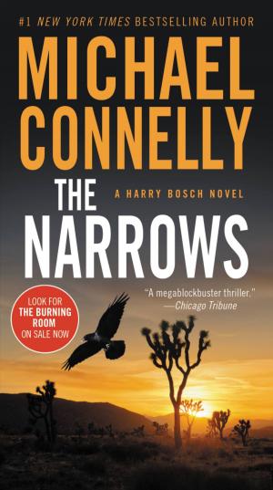 Cover of the book The Narrows by David Swinson