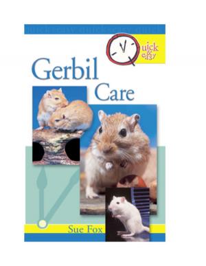 Book cover of Quick & Easy Gerbil Care