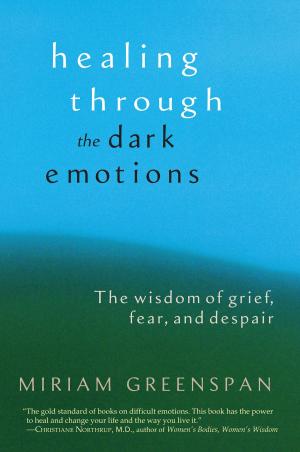 Cover of the book Healing through the Dark Emotions by Karen Kissel Wegela