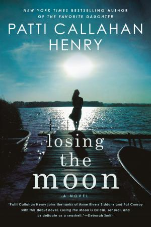 Cover of the book Losing the Moon by Albert Jack