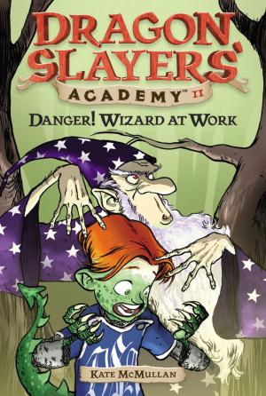 Cover of the book Danger! Wizard at Work! #11 by David A. Adler