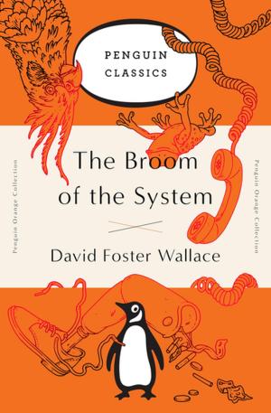 Book cover of The Broom of the System