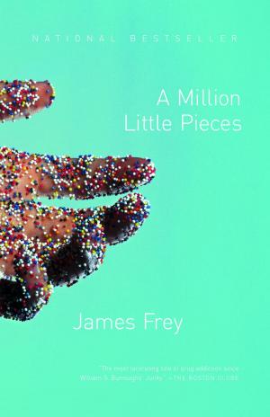 Cover of the book A Million Little Pieces by Alaa Al Aswany