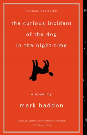 bigCover of the book The Curious Incident of the Dog in the Night-Time by 