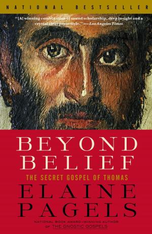 Book cover of Beyond Belief
