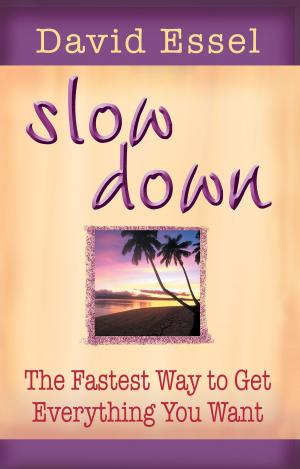 Cover of the book Slow Down by Brian L. Weiss, M.D.
