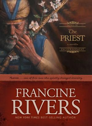 Cover of the book The Priest by Randy Singer