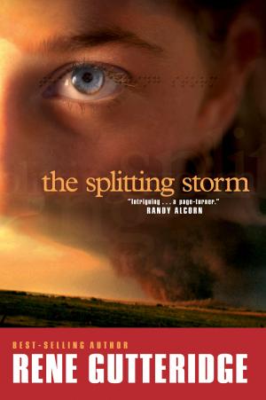 bigCover of the book The Splitting Storm by 